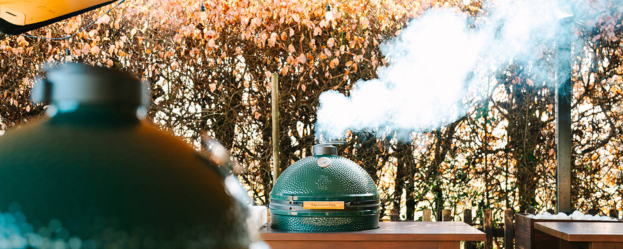 Big Green Egg Barbecue Classes