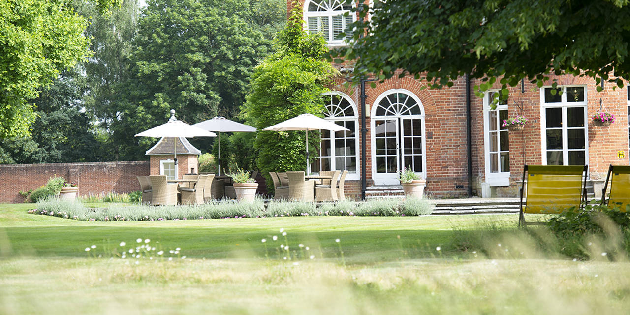 The lawn and terrace