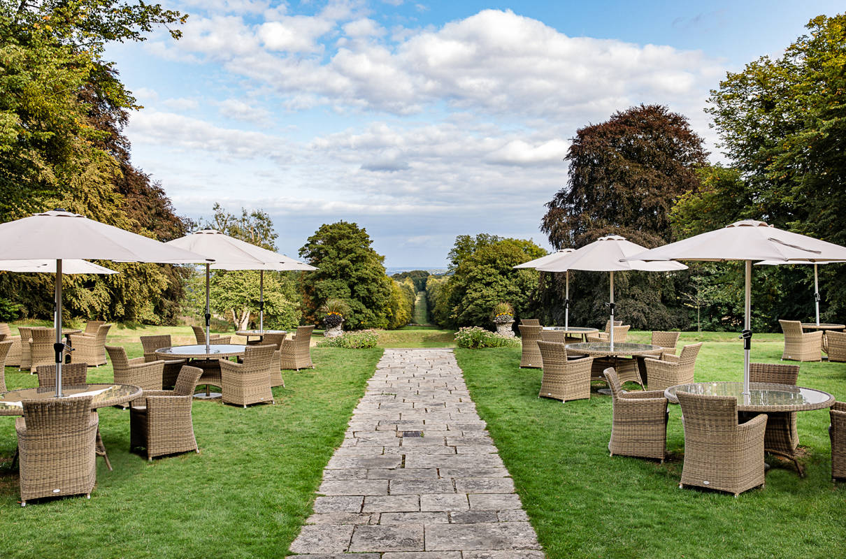 The Terrace