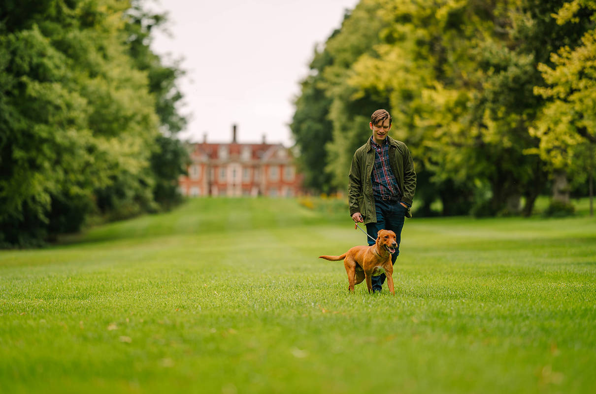 Dog-Friendly Stays