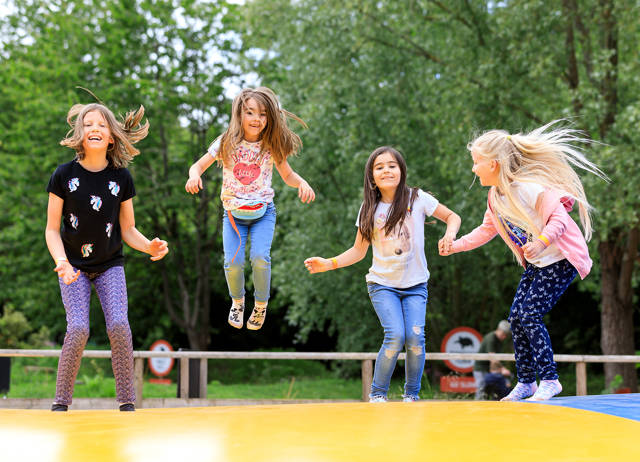 Bocketts Farm Park