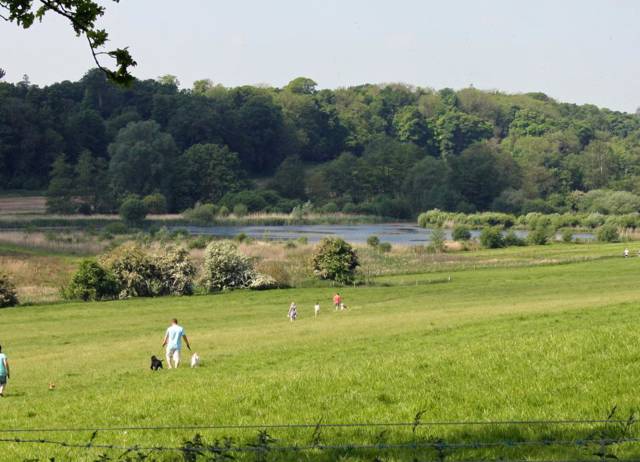 Panshanger Park